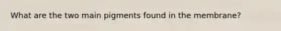 What are the two main pigments found in the membrane?