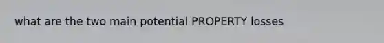 what are the two main potential PROPERTY losses