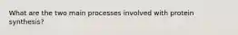 What are the two main processes involved with protein synthesis?