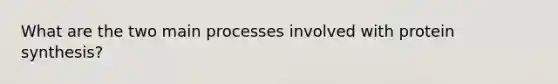 What are the two main processes involved with protein synthesis?