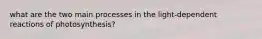 what are the two main processes in the light-dependent reactions of photosynthesis?