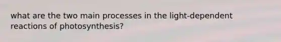 what are the two main processes in the light-dependent reactions of photosynthesis?