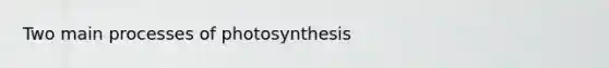 Two main processes of photosynthesis