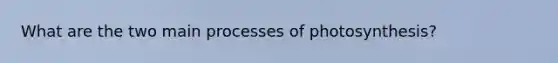 What are the two main processes of photosynthesis?