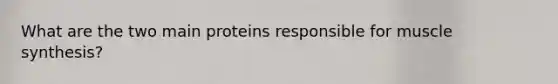 What are the two main proteins responsible for muscle synthesis?