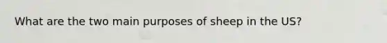 What are the two main purposes of sheep in the US?