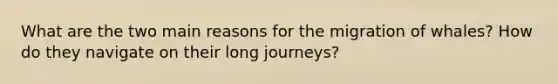 What are the two main reasons for the migration of whales? How do they navigate on their long journeys?