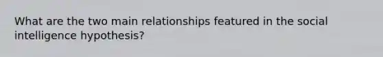 What are the two main relationships featured in the social intelligence hypothesis?