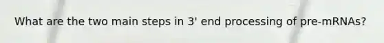 What are the two main steps in 3' end processing of pre-mRNAs?