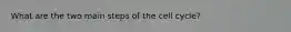 What are the two main steps of the cell cycle?