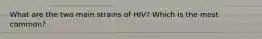 What are the two main strains of HIV? Which is the most common?