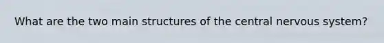 What are the two main structures of the central nervous system?
