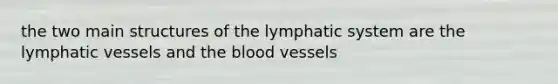 the two main structures of the lymphatic system are the lymphatic vessels and the blood vessels