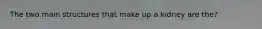 The two main structures that make up a kidney are the?