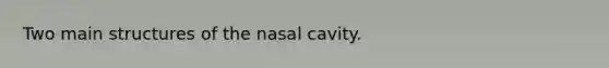 Two main structures of the nasal cavity.