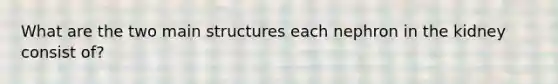 What are the two main structures each nephron in the kidney consist of?