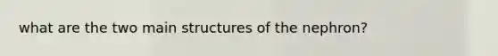 what are the two main structures of the nephron?