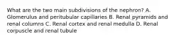 What are the two main subdivisions of the nephron? A. Glomerulus and peritubular capillaries B. Renal pyramids and renal columns C. Renal cortex and renal medulla D. Renal corpuscle and renal tubule