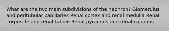 What are the two main subdivisions of the nephron? Glomerulus and peritubular capillaries Renal cortex and renal medulla Renal corpuscle and renal tubule Renal pyramids and renal columns