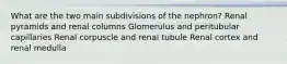 What are the two main subdivisions of the nephron? Renal pyramids and renal columns Glomerulus and peritubular capillaries Renal corpuscle and renal tubule Renal cortex and renal medulla