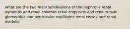 What are the two main subdivisions of the nephron? renal pyramids and renal columns renal corpuscle and renal tubule glomerulus and peritubular capillaries renal cortex and renal medulla