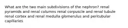 What are the two main subdivisions of the nephron? renal pyramids and renal columns renal corpuscle and renal tubule renal cortex and renal medulla glomerulus and peritubular capillaries