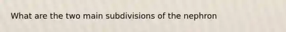 What are the two main subdivisions of the nephron