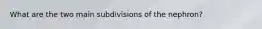 What are the two main subdivisions of the nephron?