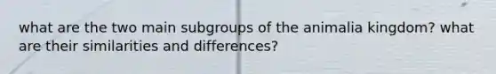 what are the two main subgroups of the animalia kingdom? what are their similarities and differences?