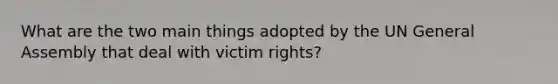 What are the two main things adopted by the UN General Assembly that deal with victim rights?