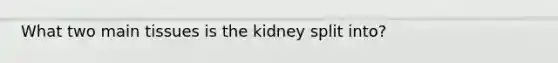 What two main tissues is the kidney split into?