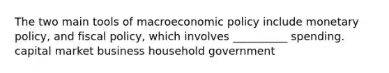 The two main tools of macroeconomic policy include monetary policy, and fiscal policy, which involves __________ spending. capital market business household government