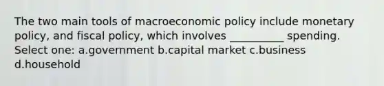 The two main tools of macroeconomic policy include monetary policy, and fiscal policy, which involves __________ spending. Select one: a.government b.capital market c.business d.household