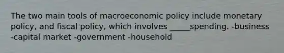 The two main tools of macroeconomic policy include monetary policy, and fiscal policy, which involves _____spending. -business -capital market -government -household