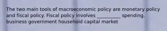 The two main tools of macroeconomic policy are monetary policy and fiscal policy. Fiscal policy involves __________ spending. business government household capital market