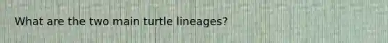 What are the two main turtle lineages?