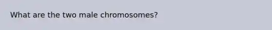 What are the two male chromosomes?