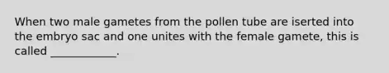 When two male gametes from the pollen tube are iserted into the embryo sac and one unites with the female gamete, this is called ____________.