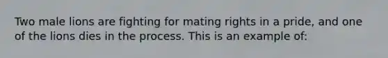 Two male lions are fighting for mating rights in a pride, and one of the lions dies in the process. This is an example of: