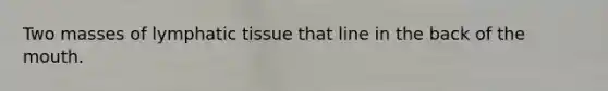 Two masses of lymphatic tissue that line in the back of the mouth.