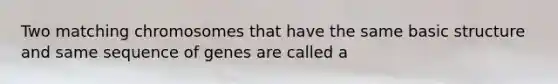Two matching chromosomes that have the same basic structure and same sequence of genes are called a