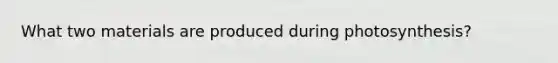 What two materials are produced during photosynthesis?