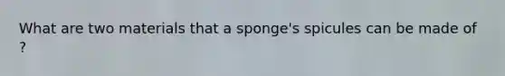 What are two materials that a sponge's spicules can be made of ?