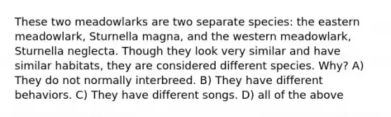 These two meadowlarks are two separate species: the eastern meadowlark, Sturnella magna, and the western meadowlark, Sturnella neglecta. Though they look very similar and have similar habitats, they are considered different species. Why? A) They do not normally interbreed. B) They have different behaviors. C) They have different songs. D) all of the above