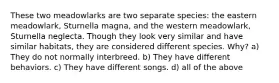 These two meadowlarks are two separate species: the eastern meadowlark, Sturnella magna, and the western meadowlark, Sturnella neglecta. Though they look very similar and have similar habitats, they are considered different species. Why? a) They do not normally interbreed. b) They have different behaviors. c) They have different songs. d) all of the above