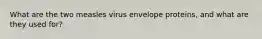 What are the two measles virus envelope proteins, and what are they used for?