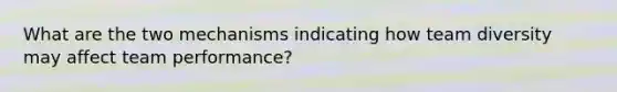 What are the two mechanisms indicating how team diversity may affect team performance?