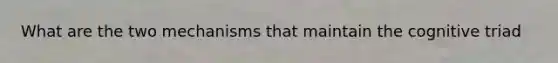 What are the two mechanisms that maintain the cognitive triad
