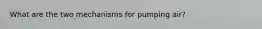 What are the two mechanisms for pumping air?