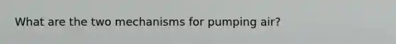 What are the two mechanisms for pumping air?